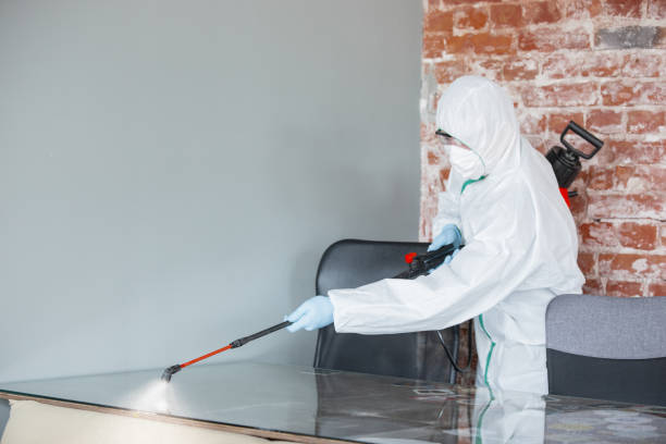 Best Mold Removal for HVAC Installations  in Roseville, MN